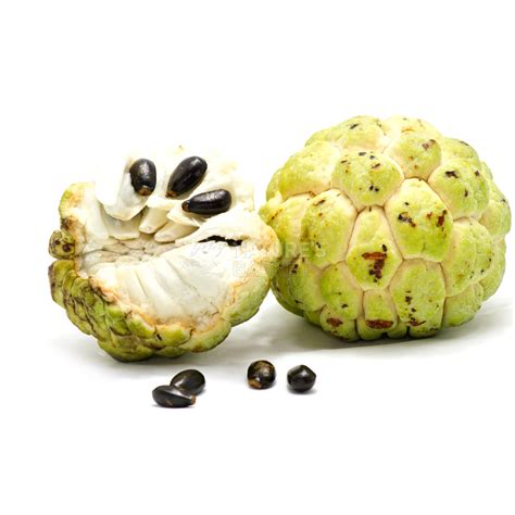 Custard apple india - The custard apple tree stands erect with a 10 to 14-inch diameter. The tree grows to a height of about 15 to 35 feet tall. Its leaves have a foul smell and are shed from time to time. 